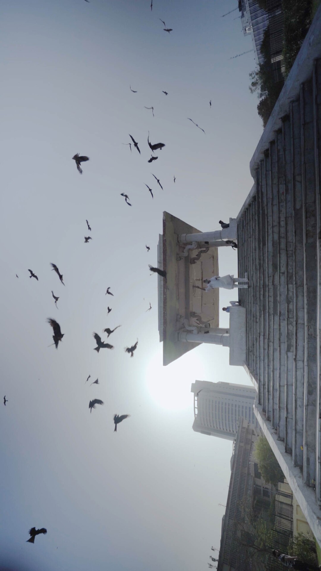 (Sundance Institute) Black kites fly around Delhi in the Indian/American/British documentary "All That Breathes," directed by Shaunak Sen, an official selection of the World Cinema Documentary competition at the 2022 Sundance Film Festival.