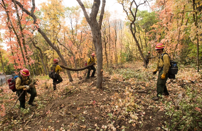 (Rick Egan  |  The Salt Lake Tribune)     Members of Grayback Forestry from Missoula Montana, work in the hills above in Woodland Hills, trying to lessen the impact of the possible flash floods, which have been forecast for the area. Monday, Oct. 1, 2018.


