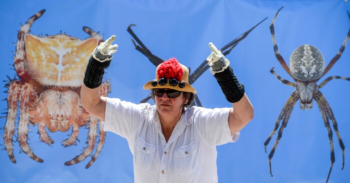 (Leah Hogsten | The Salt Lake Tribune) Utah State Parks employee Justina Parsons-Bernstein mimics a male Peacock Spider during its mating dance at the Antelope Island Spider Fest 2019 at Antelope Island State Park, August 3, 2019. Spider Fest featured a day full of spider-themed presentations, crafts, guided walks, citizen science, poetry, photography, art and educational presentations about the arachnids on the island.