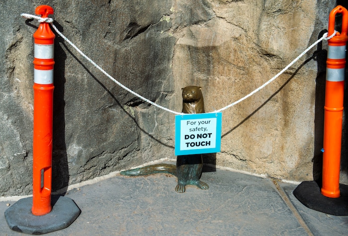 (Rick Egan  |  The Salt Lake Tribune)   A rope is places in front of a bronze otter to discourage touching, as Hogle Zoo opened up again for visitors, with special rules for social distancing, Saturday May 2, 2020