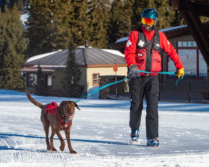 (Rick Egan  |  The Salt Lake Tribune)       Solitude Avalanche dog Joni with her handler, Jasper Anderson, Thursday, March 5, 2020.