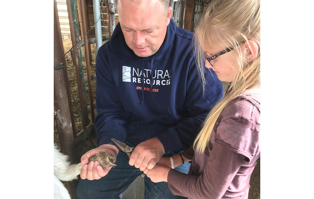 (Courtesy of Chad Warnick) Chad Warnick teaches a student how to trim a goat's hoof. Warnick, a teacher at Delta Technical Center, is Utah's newest Teacher of the Year.