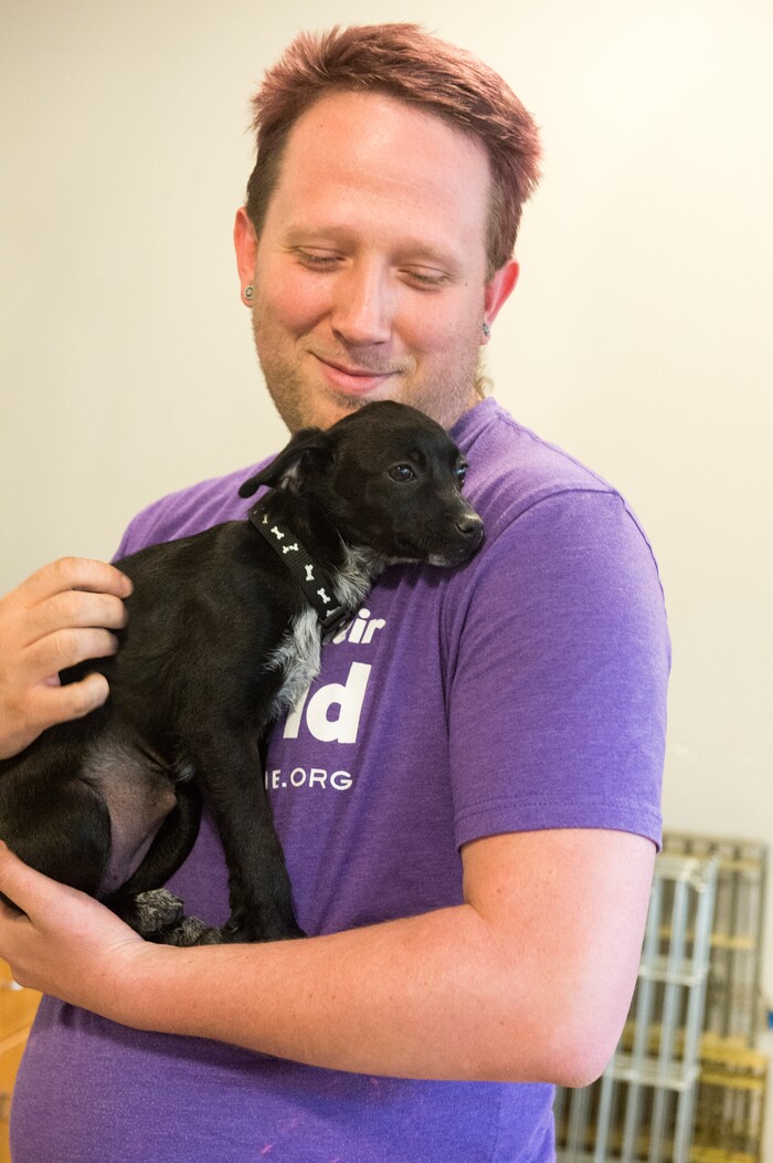 (Rick Egan  |  The Salt Lake Tribune)   Chris Sargent holds a chihuahua named "Sweetie" at the Humane Society of Utah, in Murray, Friday, April 27, 2018.