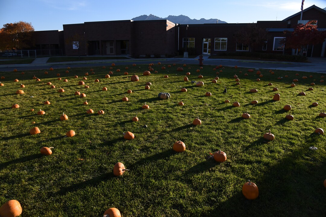 (Francisco Kjolseth  |  The Salt Lake Tribune)  A pumpkin patch is set up for students at Jordan Valley School in Midvale, Canyon District's school for students with severe disabilities, allowing them an opportunity to pick out their own pumpkin, an opportunity they look forward to on Wed. Oct. 24, 2018. Inmates who take part in the Green Thumb Nursery program at the Utah State prison grew and harvested the pumpkins that were donated to the school for the 10th year.
