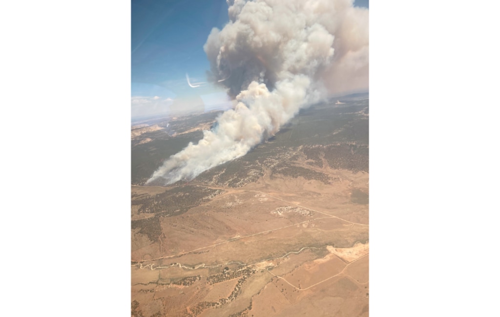 (Bureau of Land Management) The Deer Springs Fire on July 7.