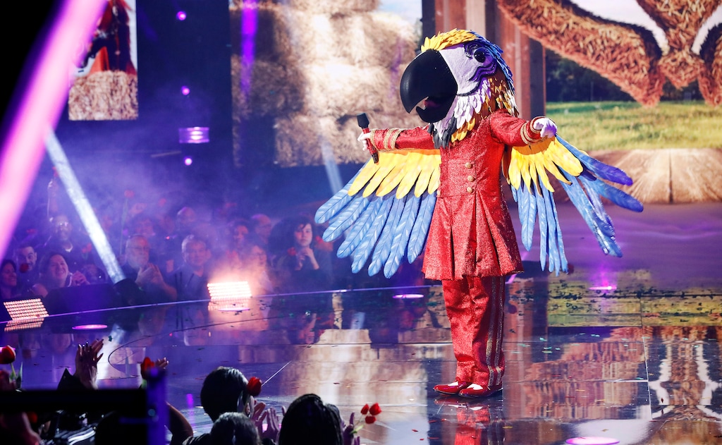 (Michael Becker | Fox) The Macaw performs on "The Masked Singer."