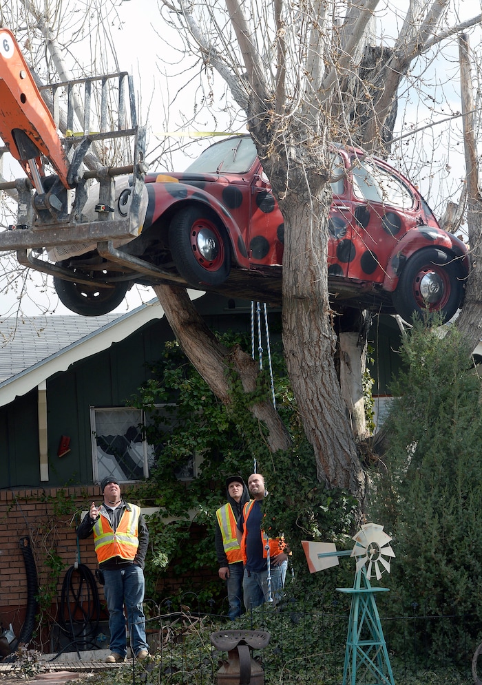 (Al Hartmann | The Salt Lake Tribune)
Clearfield public works personnel use a crane to remove Janis Zettel's gutted VW Beetle from a tree in her front yard Tuesday Feb. 13. She put it up a few months ago as an art installation. Now it has to come down. Workers had to figure out how.
