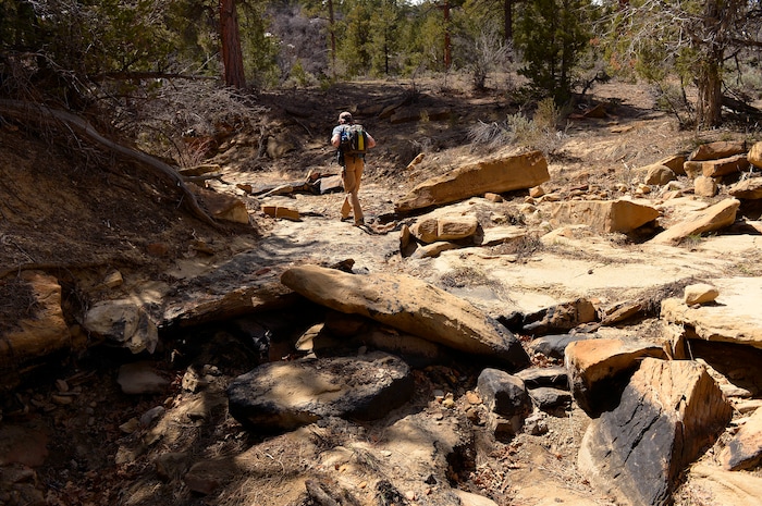 (Leah Hogsten | Tribune file photo) Escalante residents hike the Little Valley Wash, Saturday, March 29, 2014 to inspect the washÕs sandstone walls and beds covered with oil that was found by a hiker earlier in the week. The oil is from the Upper Valley oil field, operated by Citation Oil and Gas Corporation. The Upper Valley oil field was established in 1964 on Dixie National Forest and BLM land about 10 miles west of Escalante.
