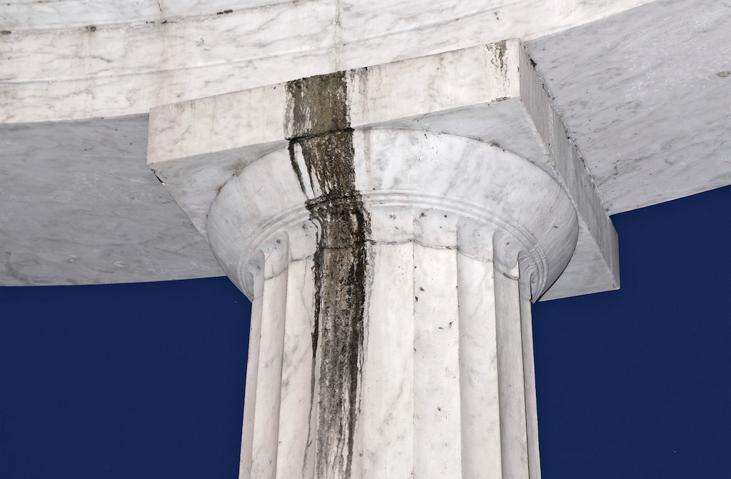 FILE — A detail shows black staining on the marble capital of an exterior column in Washington, July 4, 2026. (Sam Gulliver/The New York Times)