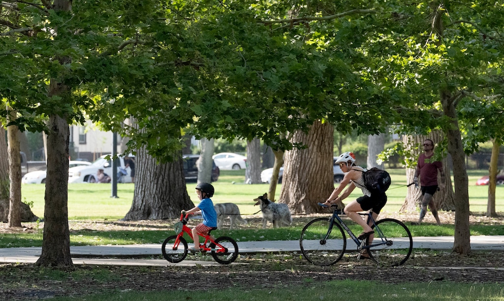 (Francisco Kjolseth | The Salt Lake Tribune) People recreate amongst the tall trees at Liberty Park on Wednesday, July 7, 2021.
