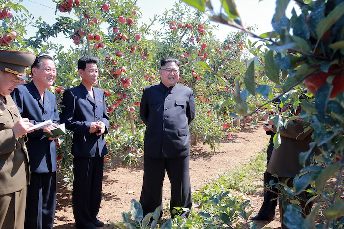 In this undated photo distributed on Thursday, Sept. 21, 2017, by the North Korean government, North Korean leader Kim Jong Un, center, visits a fruit farm in Kwail County, South Hwanghae Province, North Korea. Kim, in an extraordinary and direct rebuke, called U.S. President Donald Trump "deranged" and said he will "pay dearly" for his threats, a possible indication of more powerful weapons tests on the horizon. Independent journalists were not given access to cover the event depicted in this image distributed by the Korean Central News Agency via Korea News Service. The content of this image is as provided and cannot be independently verified. (Korean Central News Agency/Korea News Service via AP)