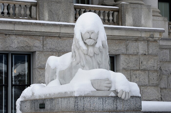Scott Sommerdorf | The Salt Lake TribuneOne of the lions at the state capitol was blinded by an overnight snowstorm, Sunday, March 4, 2018.