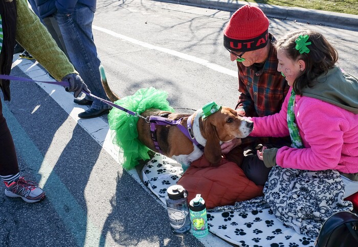 (Francisco Kjolseth | The Salt Lake Tribune) Kevin Cottle and his daughter Charlotte, 12, get a friendly visit from one of the basset hounds as Salt Lake CityÕs Irish community celebrates their 41st annual St. PatrickÕs Day Parade with crowds lining up to take in the festivities. Marching bands, Irish dancers, bagpipes and a sea of green moved along 200 South, starting at 500 East Saturday morning en route to State street where the Siamsa festivities kept the fun going at the Gallivan Center.