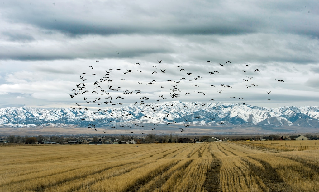 (Rick Egan  |  The Salt Lake Tribune)         The Romney Group, a private real estate investment company, is pushing for the creation of a 12,000-acre satellite port in Tooele County, which includes Erda. Tuesday, Jan. 28, 2020.