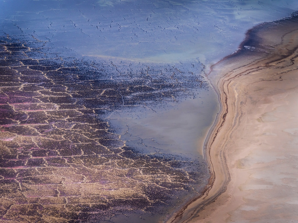 (Leah Hogsten | The Salt Lake Tribune) Exposed and dying microbialite fields of the Great Salt Lake, Thursday, Aug. 4, 2022. Microbialites thrive in an extensive shallow-shelf environment and are at the mercy of the ever-changing lake level. Brine flies feed on microbialtite which is important for life cycle of the brine flies that shorebirds feed on.