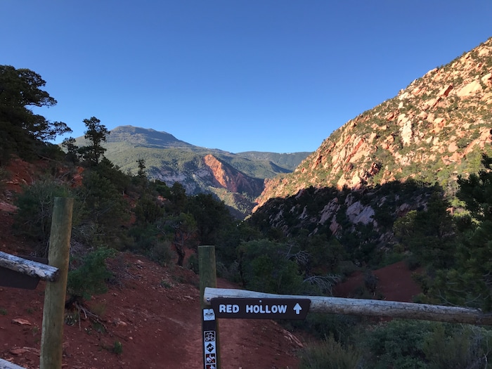 Nate Carlisle  |  The Salt Lake TribuneThe Red Hollow Trail near ascends south down the canyon on May 24, 2017.