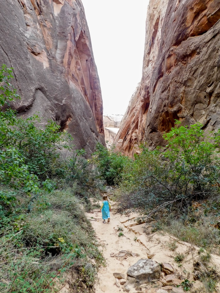 Erin Alberty  |  The Salt Lake TribuneA young hiker makes her way into Surprise Canyon on Oct. 4, 2015 in Capitol Reef National Park.