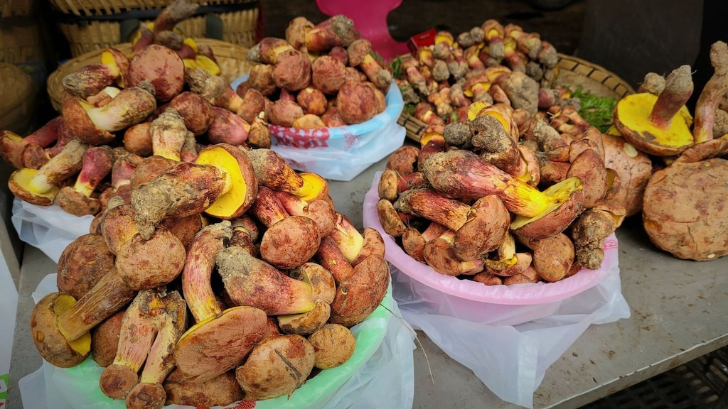 (Colin Domnauer | Natural History Museum of Utah) Mushrooms, of the variety Lanmaoa asiatica, on sale at a market in China's Yunnan province. Researchers at the Natural History Museum of Utah are looking at the mushroom's hallucinogenic properties, and whether they would have therapeutic applications.