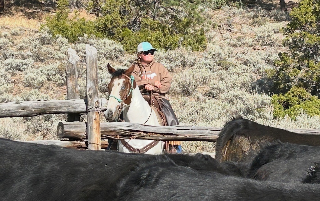 (Courtesy photo) Josee Wilkins rides her horse Honey in 2025 on Roundtop Mountain in Colorado.
