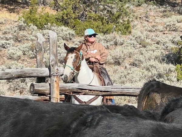 (Courtesy photo) Josee Wilkins rides her horse Honey in 2025 on Roundtop Mountain in Colorado.