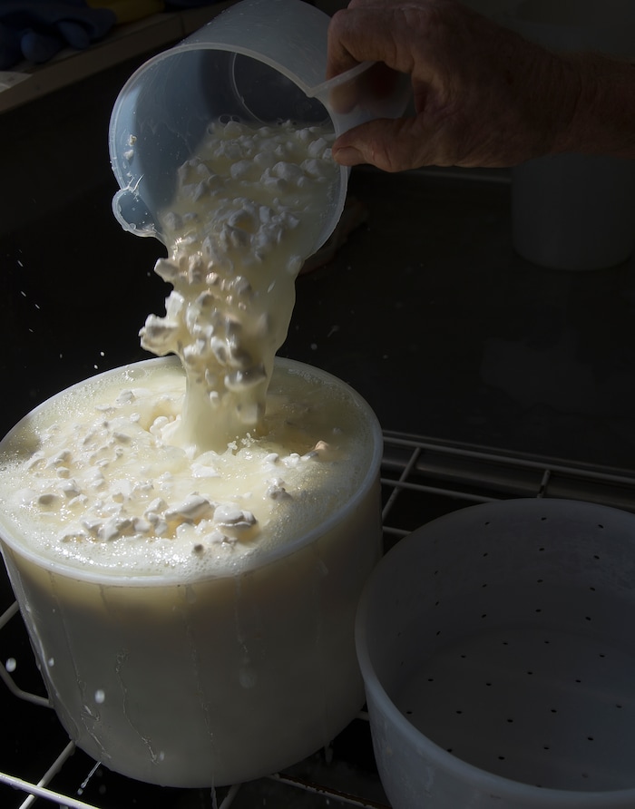 (Leah Hogsten  |  The Salt Lake Tribune) Mesa Farm owner Randy Ramsley separates curds and whey into molds to drain and age into raw tomme or semi-hard alpine cheese. Ramsley sells a variety of goats milk cheeses and yogurt at his farm's storefront on Highway 24, east of Capitol Reef and at Tony Caputo's in Salt Lake City. 
