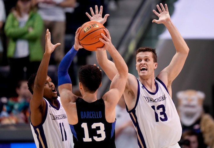 (Francisco Kjolseth | The Salt Lake Tribune) Westminster Griffins guard Reme Torbert (11) and Westminster Griffins forward Brayden Johnson (13) pressure Brigham Young Cougars guard Alex Barcello (13) in basketball action between the Brigham Young Cougars and the Westminster Griffins at the Marriott Center in Provo, Wednesday, Dec. 29, 2021.