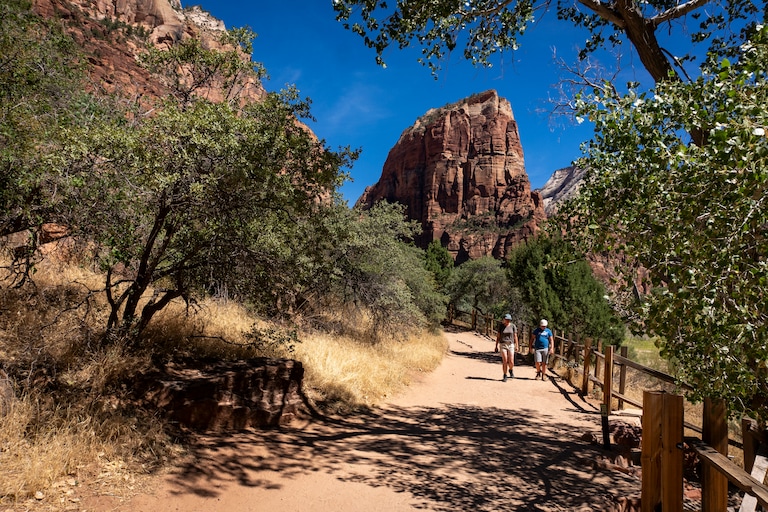 Visitor dies after fall on Angels Landing Trail in Zion National Park