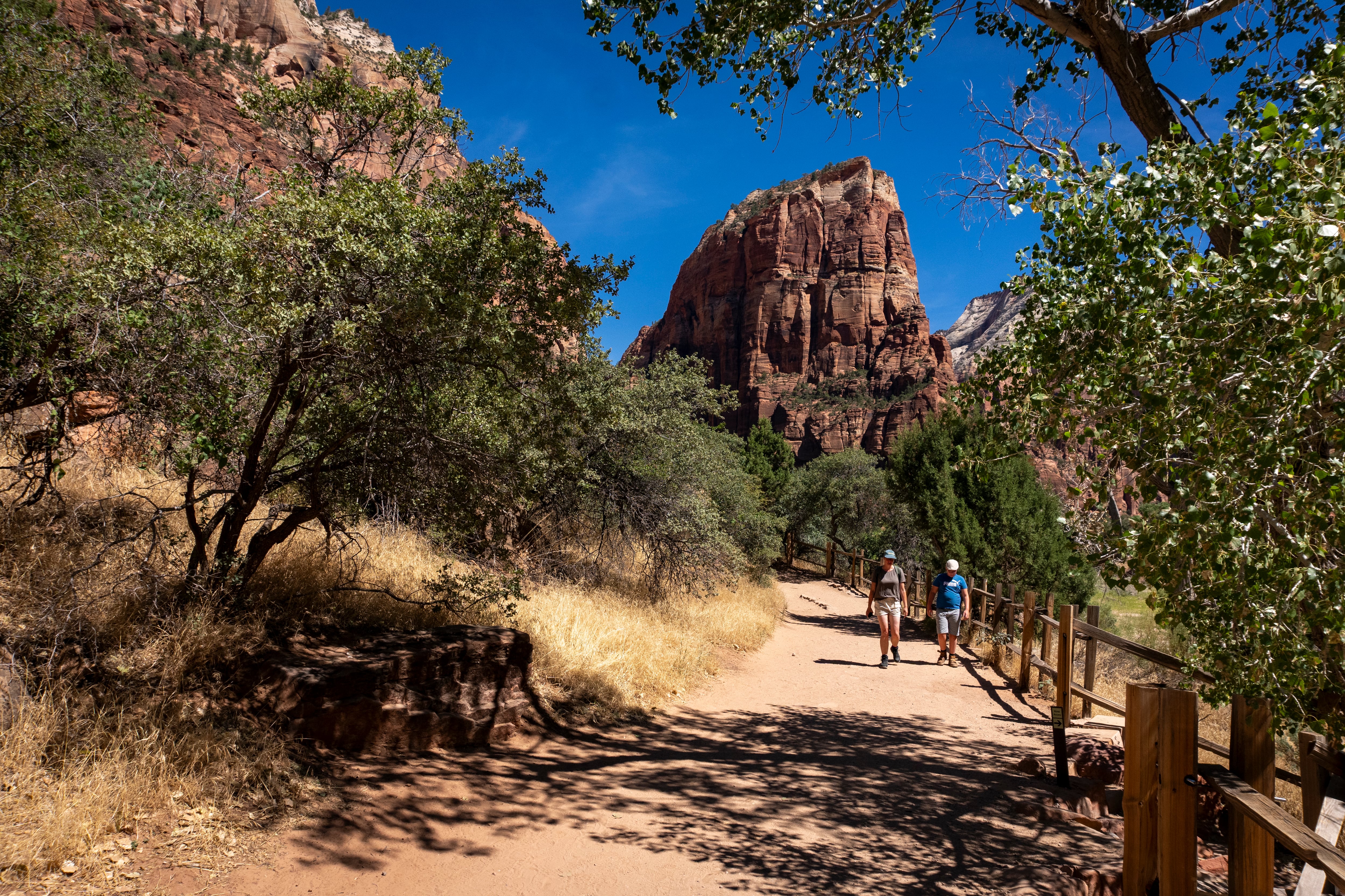 Featured image for article: Mike Lee Advocates for National Park Designations in Public Lands Initiative