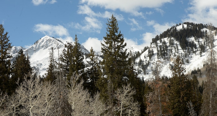 (Al Hartmann  |  The Salt Lake Tribune) 	
Snowpack in the high peaks above Silver Lake in Big Cottonwood Canyon Monday March 12.