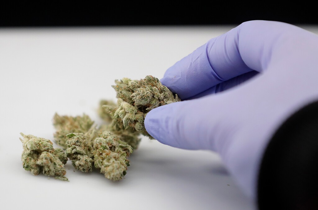 (Jeff Chiu | The Associated Press) In this June 21, 2018, file photo, a laboratory manager holds a cannabis sample in Oakland, Calif. Oklahoma health officials on Friday, July 27, 2018, released new proposed medical marijuana rules that remove some of the most controversial provisions, including a ban on the sale of smokable pot and a requirement that female patients get a pregnancy test. The original rules approved by the board earlier this month prompted outrage from medical marijuana supporters who said they went too far.
