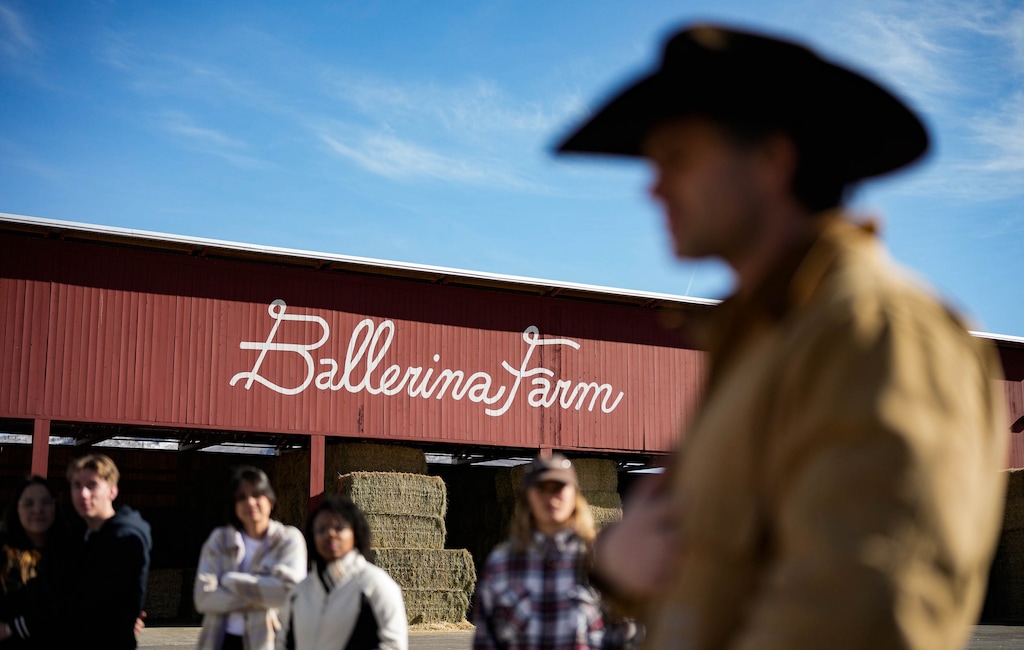 (Francisco Kjolseth | The Salt Lake Tribune) Daniel Neeleman of Ballerina Farm hosts a public tour of his dairy farm on Jan. 29, 2026. The farm, established in 2017, is testing out public tours for the first time, while the Sundance Film Festival happens.