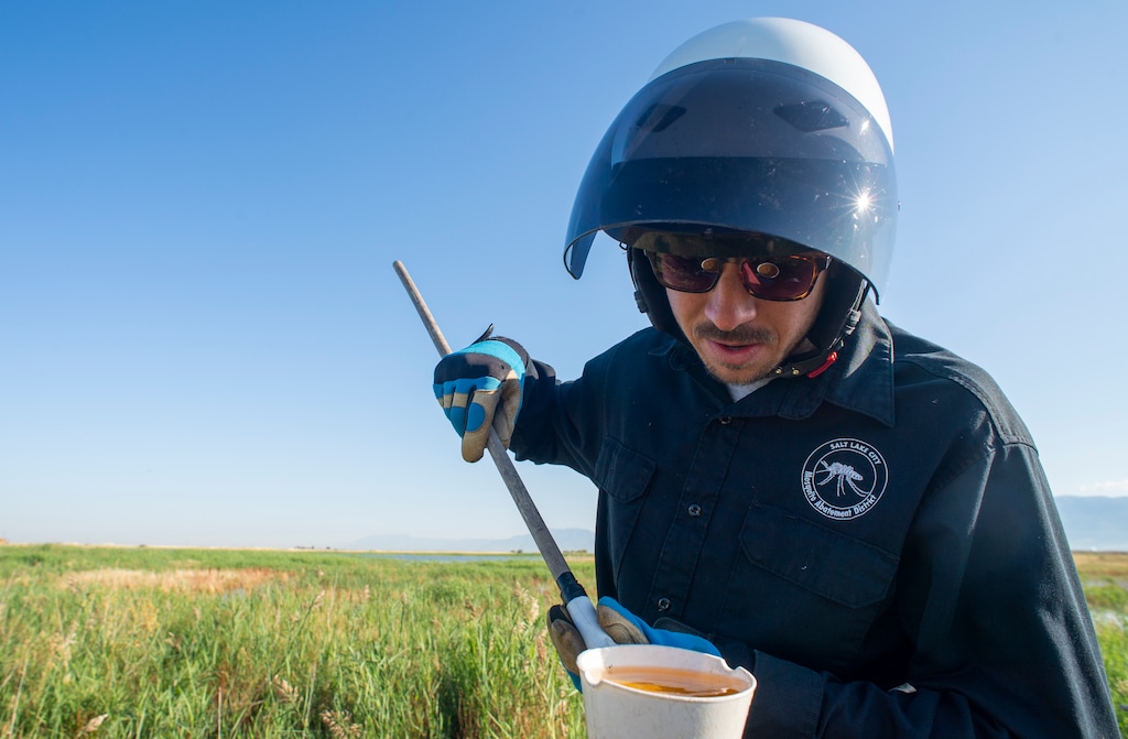 (Rick Egan  |  Tribune file photo) Quinten Salt gets a mosquito count as he tests standing water in the wetlands north of the Salt Lake International Airport on Sept. 12, 2019.