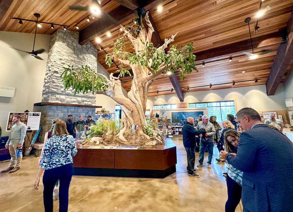 (Mark Eddington | The Salt Lake Tribune) A new visitors center at Cedar Breaks National Monument near Brian Head on Thursday, Aug. 22, 2024.