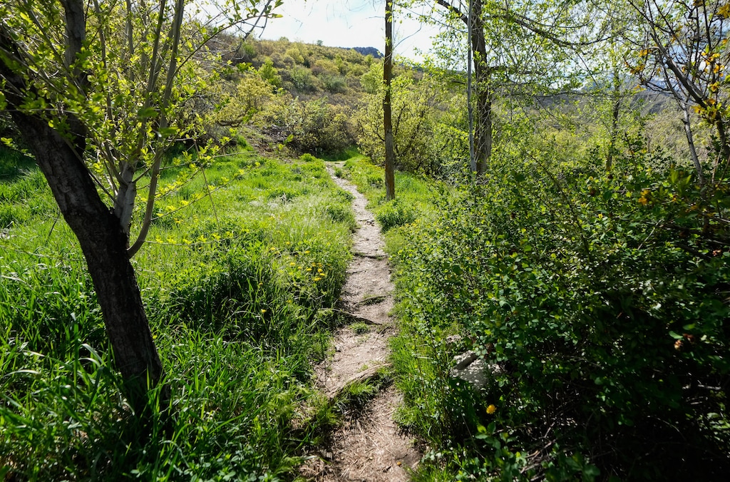 (Francisco Kjolseth | The Salt Lake Tribune) The Deaf Smith Canyon trailhead in Cottonwood Heights is pictured on Monday, April 29, 2024. Residents fear losing access to the trail due to a dispute with a family planning to build a home where the trail begins on Golden Oaks Dr.