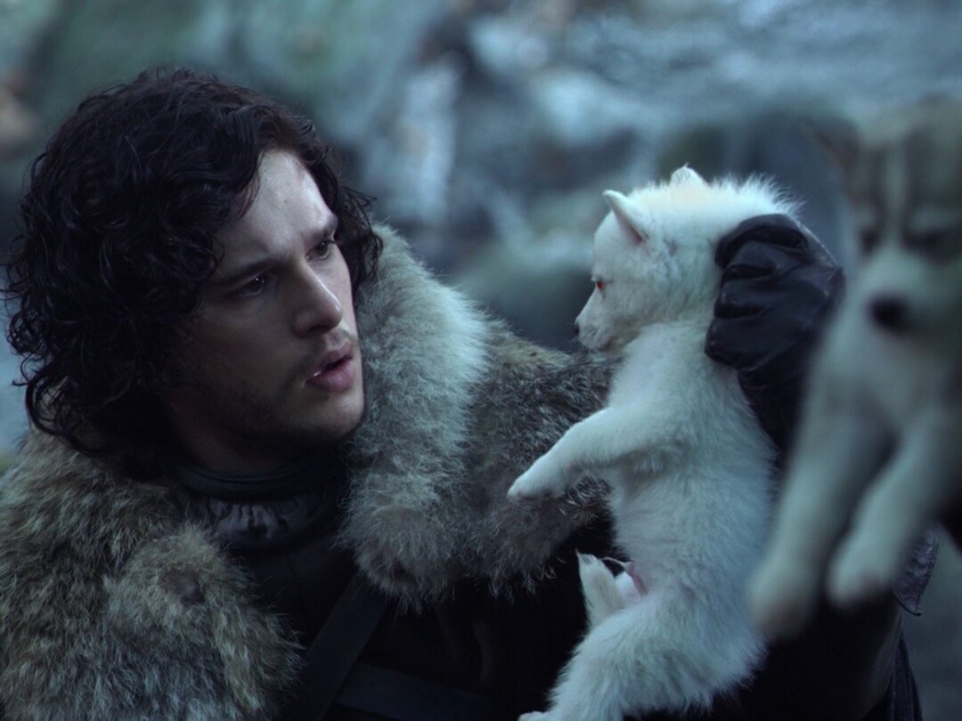 (Photo courtesy HBO) John Snow (Kit Harrington) meets the direwolf puppy Ghost in Season 1 of "Game of Thrones."