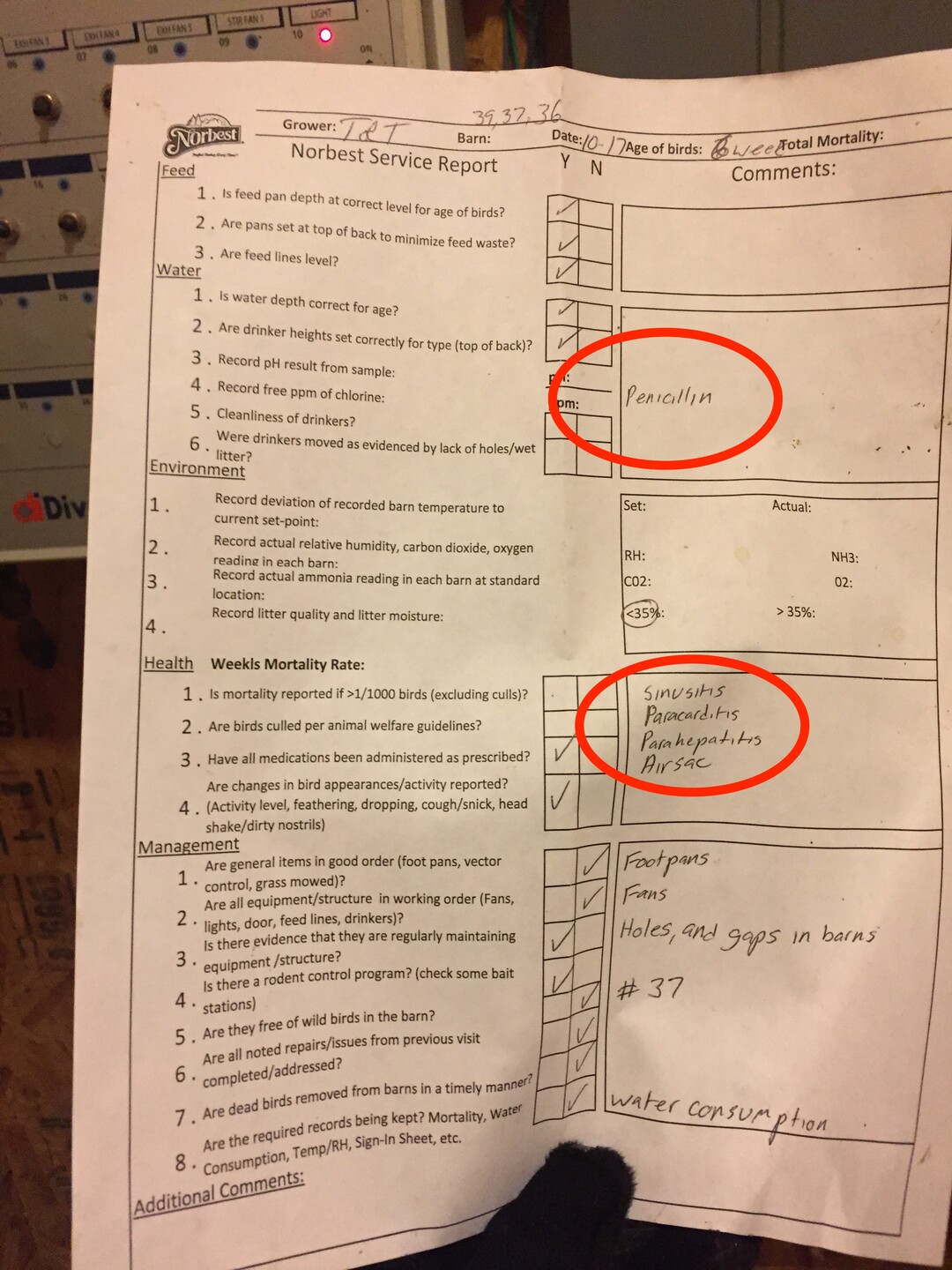 (Courtesy Wayne Hsiung)  This document shows that turkeys at a Norbest farm near Moroni, Utah, have hepatitis and are being treated with penicillin. The photos were taken by activists from Direct Action Everywhere.