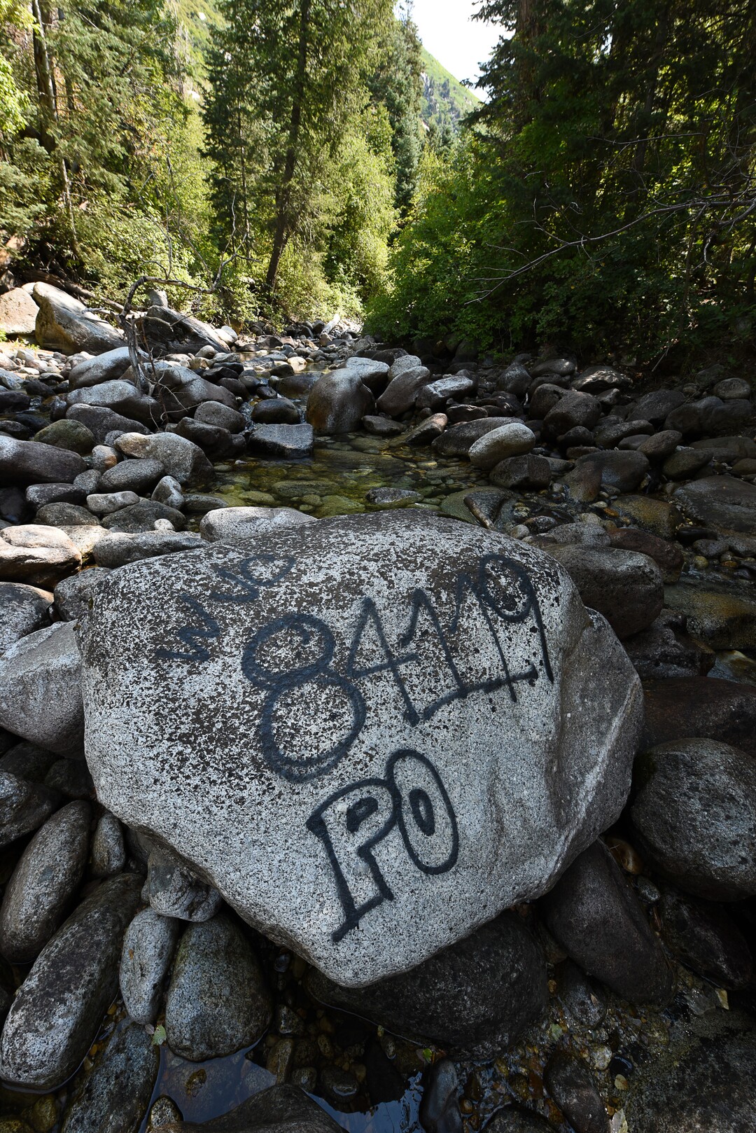 (Francisco Kjolseth  |  The Salt Lake Tribune)  Graffiti has proliferated in lower Little Cottonwood Canyon, where vandals, often wielding cans of fluorescent-colored spray paint, have covered granite faces, trees and structures. The vandalism is particularly apparent along the Temple Quarry Trail and the creek at the Moon Rock swimming hole and former pavilion site. Volunteers using donated equipment and solvents spend thousands of hours removing the paint from the rocks only to see graffiti return to the same faces or on rock nearby.