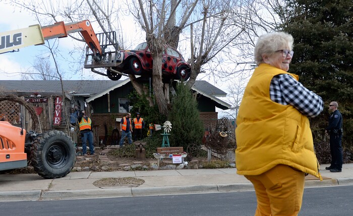 (Al Hartmann | The Salt Lake Tribune)
Clearfield public works personnel use a crane to remove Janis Zettel's gutted VW Beetle from a tree in her front yard Tuesday Feb. 13. She put it up a few months ago as an art installation. Now it has to come down.