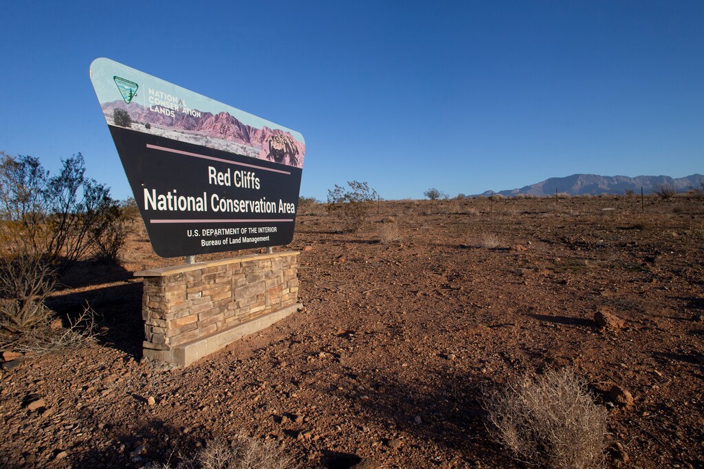 (Chris Caldwell | Special to The Tribune) The Red Cliffs Desert Reserve, where the proposed Northern Corridor is to be built, Tuesday, Feb. 3, 2026.