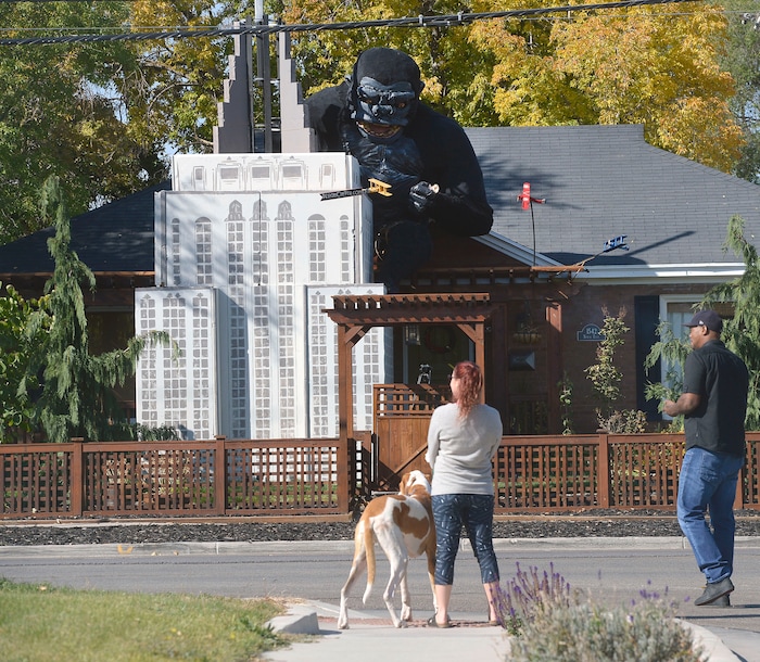 (Al Hartmann  |  The Salt Lake Tribune) 	
Ammon Smith has outdone himself again this Halloween season dressing up his home along 900 East in Sugarhouse.   He's done something wild and scary in his yard for the past five years.  This year it's King Kong. Neighbors stop by to check out the display Thursday Oct. 12.