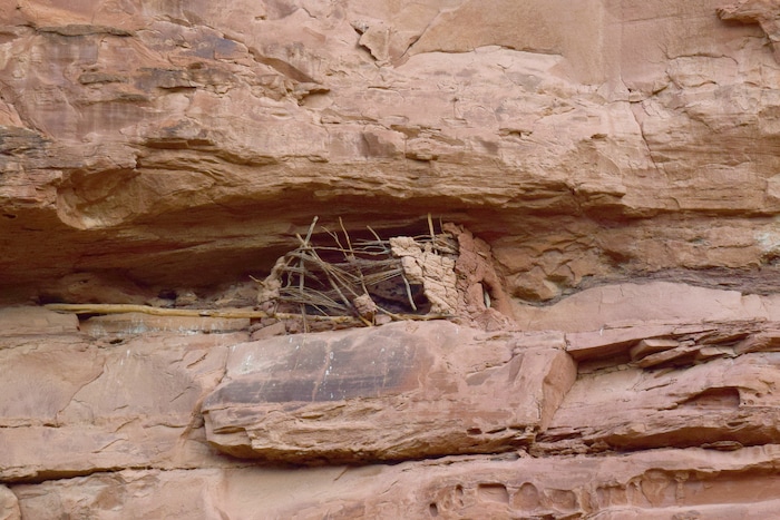(photo courtesy Manny Mellor) An ancient granary is seen near Hoghway 89 in the Grand Staircase-Escalante National Monument.
