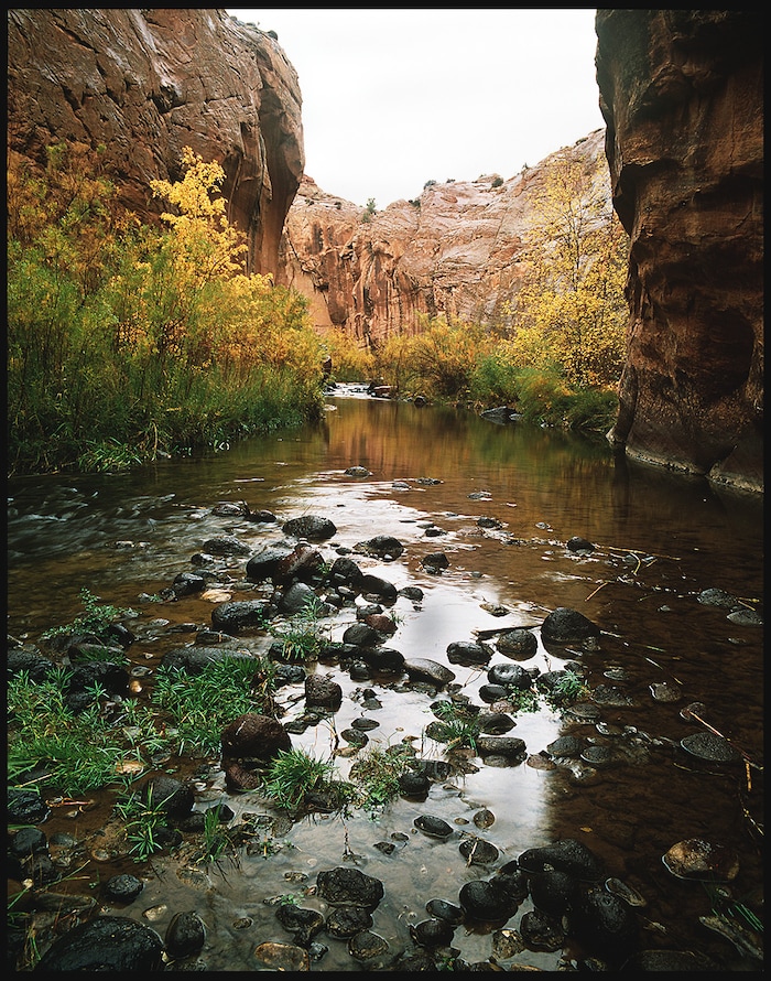 (Al Hartmann | Tribune file photo) Small side canyon of the Escalante River sparkles in the morning light, September 17, 1996.