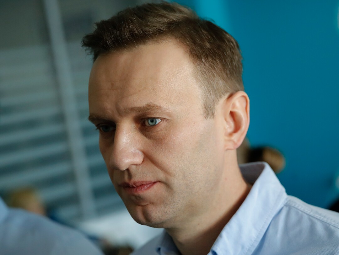 Russian opposition leader Alexei Navalny observes election progress, at his Foundation for Fighting Corruption office, in Russia, Sunday, March 18, 2018. Russians are voting in a presidential election in which Vladimir Putin is seeking a fourth term in the Kremlin. (AP Photo/Pavel Golovkin)