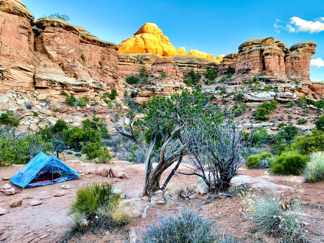 (Emily Pennington  |  Little A) Emily Pennington's campsite in the Needles area of Canyonlands National Park. Pennington has written a memoir, "Feral," about her experience visiting all the national parks in the United States.