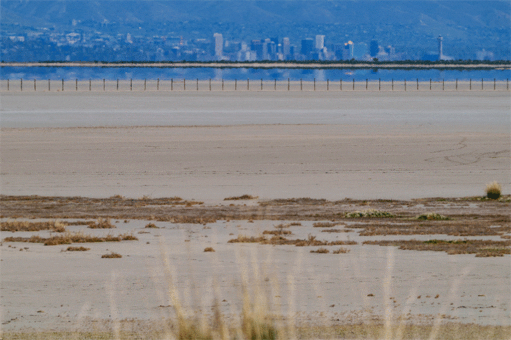 (Trent Nelson  |  The Salt Lake Tribune) The shore of the Great Salt Lake, with Salt Lake City in the distance, as seen from Antelope Island on Thursday, May 1, 2025.