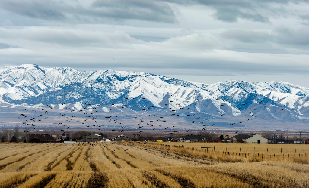 (Rick Egan  |  The Salt Lake Tribune)   A view of farmland in Tooele County. Tuesday, Jan. 28, 2020.