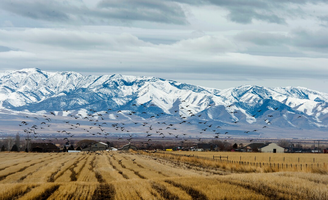 (Rick Egan  |  The Salt Lake Tribune)         The Romney Group, a private real estate investment company, is pushing for the creation of a 12,000-acre satellite port in Tooele County, which includes Erda. Tuesday, Jan. 28, 2020.