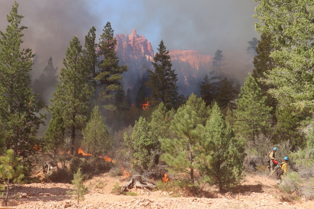 Firefighters work among ponderosa trees with red rock cliffs and smoke in the background.