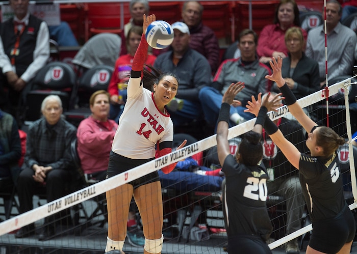 (Scott Sommerdorf   |  The Salt Lake Tribune)   Adora Anae spikes a point during Utah's first set win. Utah beat Purdue three sets to one in the second round of the NCAA volleyball tournament, Friday, December 1, 2017.  