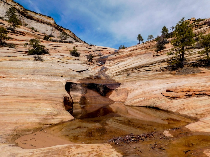 Erin Alberty | The Salt Lake Tribune
Many Pools is a beautiful, family-friendly hike with little traffic and great educational value in Zion National Park.